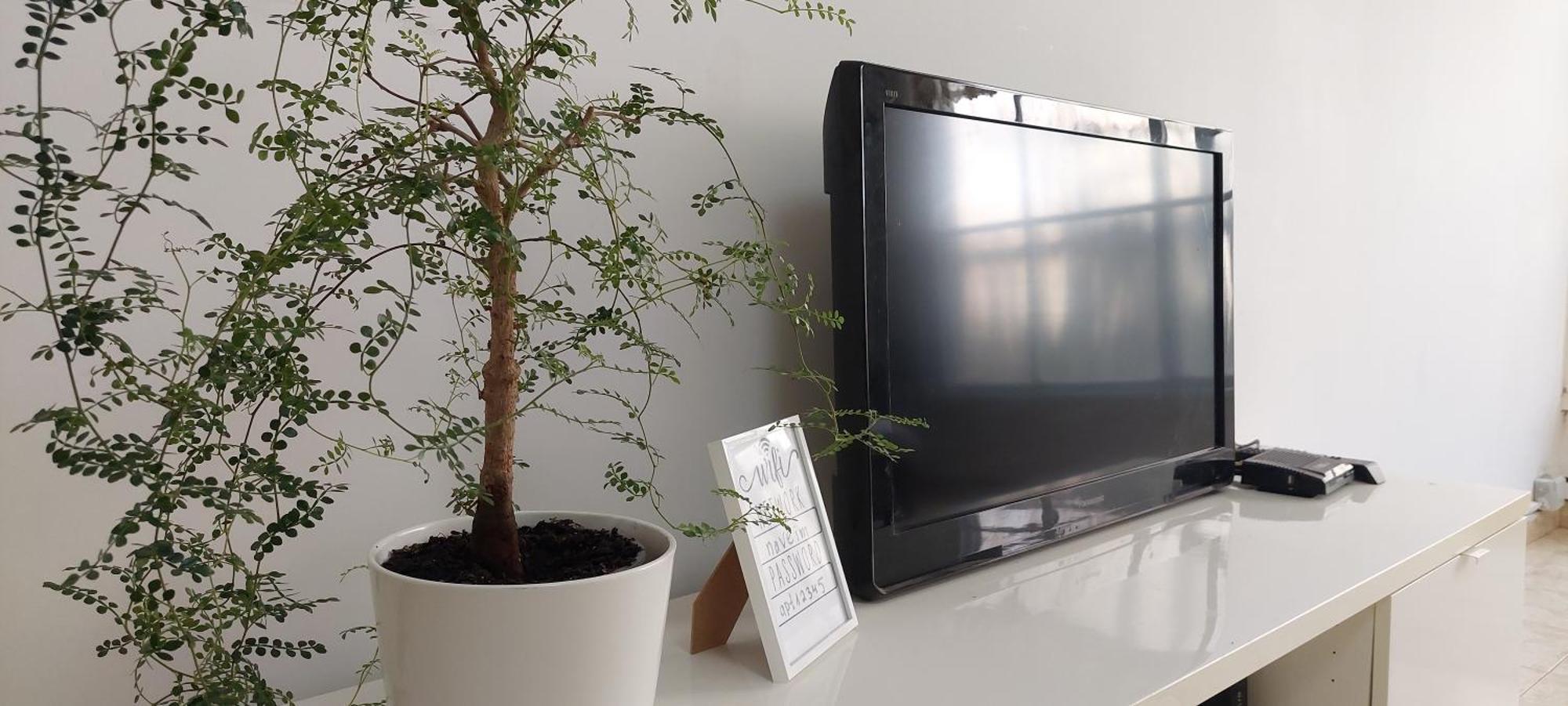 הנביאים 1 נתניה Naveim Apartment Экстерьер фото